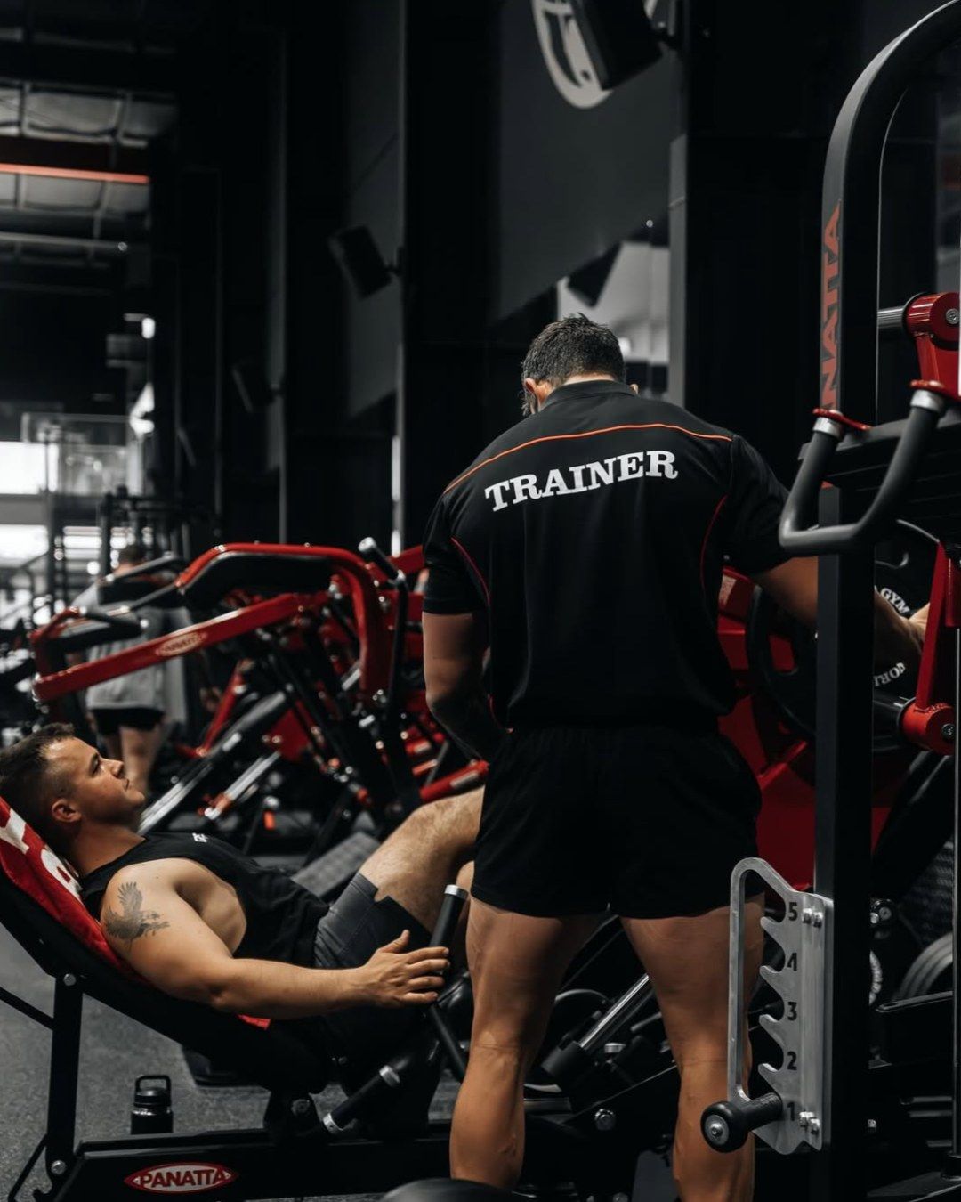 Profissional Personal Trainer